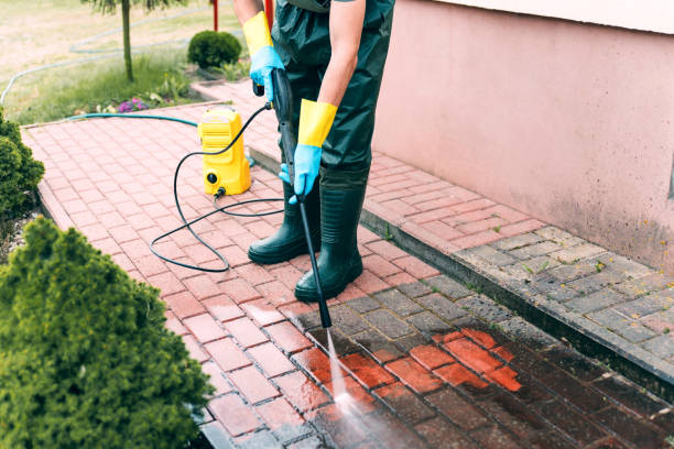 Trusted Rollingwood, CA Pressure Washing Services Experts